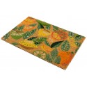 WYCIERACZKA DO BUTÓW 60x40cm CYTRUSY BRĄZOWA ŻÓŁTA ZIELONA KOKOSOWA CITRUS